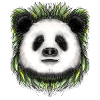 Ping Panda by Jon Ball