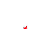 DOG AND CAT