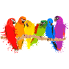 Bunte Papageien-Schar