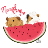 Mampf