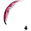 Paraglider