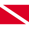 Diving Flag