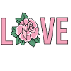 Pink Rose Love