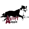 Agility Aussie
