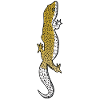 Lizard - Gecko - Reptile - Présent - Lézard