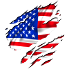 america design flag usa
