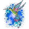 Humming-bird