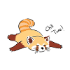 Panda Schauer
