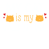 Cats T-Shirt & Gift