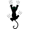 Katze