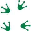 frog