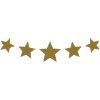 5 Star Award * Five Stars best winner Chef Cook