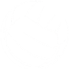 Volleyball white