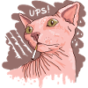 Sphynx cat with cigarette