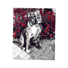 Bulldog08