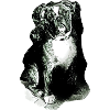 Bulldog02