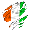 day flag ireland irish