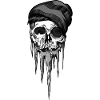 Frozen Skull