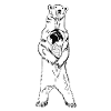 Icebear