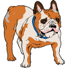 Bulldog Dog Dog Gift Idea