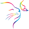 rainbow butterfly cat