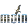 Moin