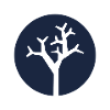 Whitetree
