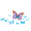 Butterflies Butterflies Insects Spring Summer