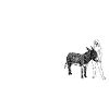 Pioneer Donkey Plate