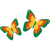 Papillons Papillons Insectes Printemps Été