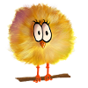 komischer Vogel