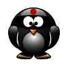 Ninja guerrier