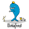 Briefwal