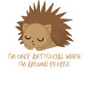 Hedgehog - Antisocial - Introvert - Funny - Sarcasm