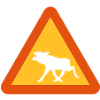 Caution Moose!