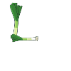 Lauch statt Bauch