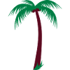 Palm with coconut
