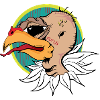 condor