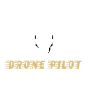 Drone pilot drone