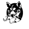 Husky mom