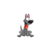 Mein Hund