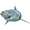 Hai 2