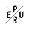 PureRider PURE X
