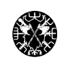 vegvisir compas du nord blanc