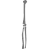 Arm bone detail for sleeves