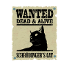 Schrödinger's cat wanted.