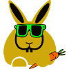 rabbit