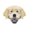 Golden Retriever Geometric