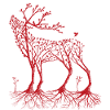 Forest deer in red
