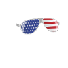 AMERICAN AKITA Sonnenbrille Amerika Fahne